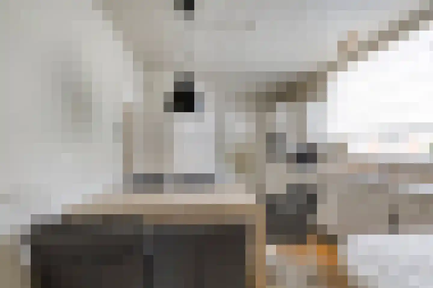 Dorpsstraat 45 Nispen thumbnail 20