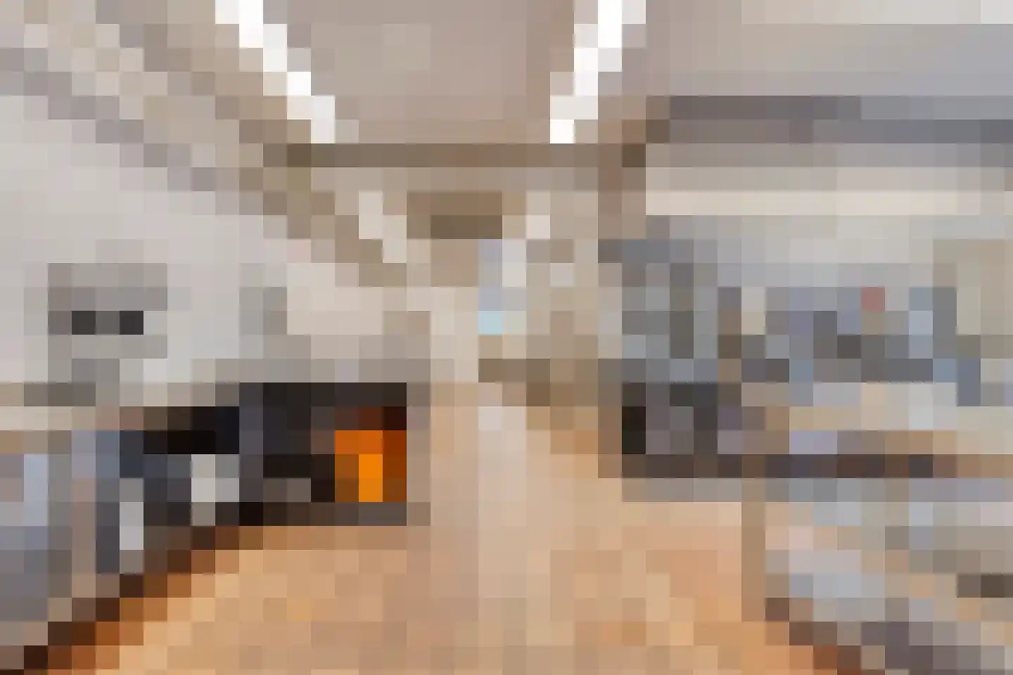 Dorpsstraat 45 Nispen thumbnail 4