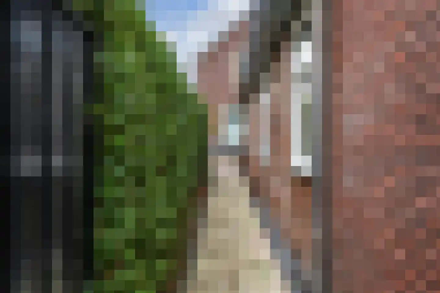 Dorpsstraat 451 Zuid-Scharwoude thumbnail 36