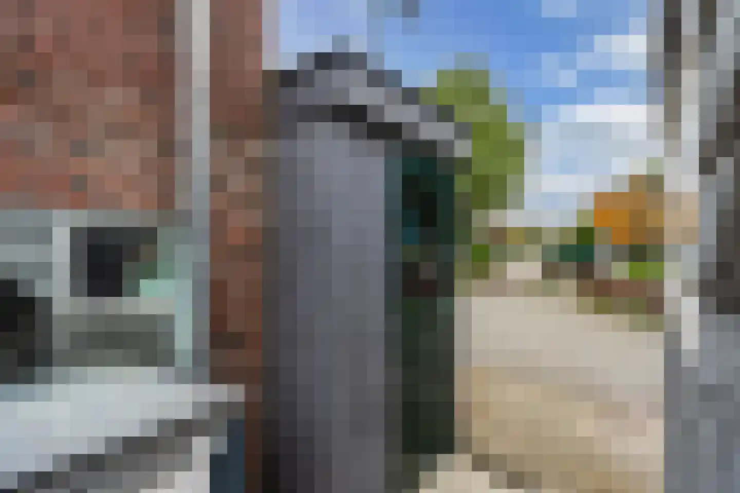 Dorpsstraat 451 Zuid-Scharwoude thumbnail 37