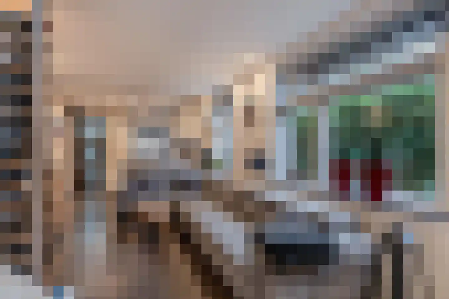 Dorpsstraat 451 Zuid-Scharwoude thumbnail 4