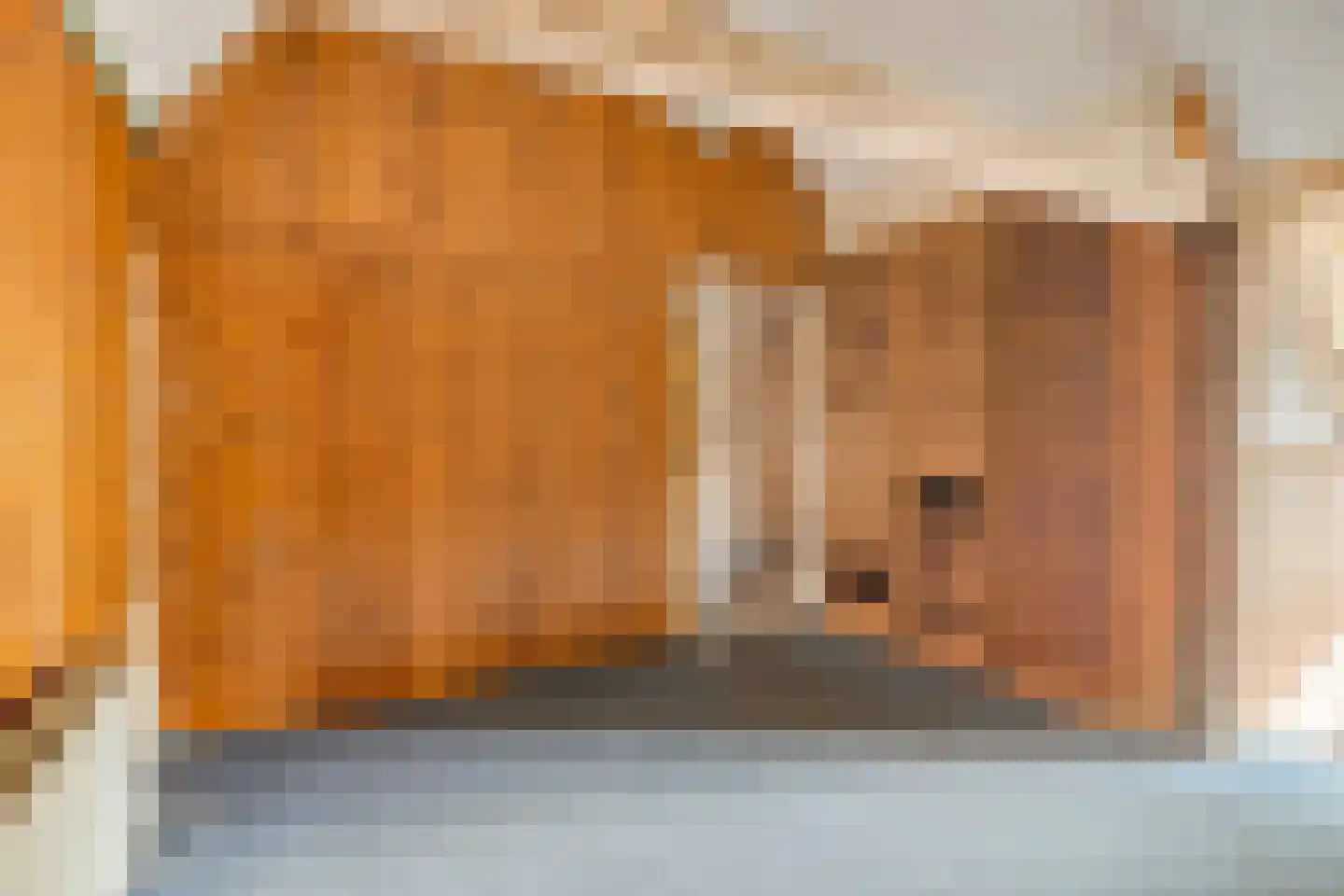 Dorpsstraat 46 Abbekerk thumbnail 36