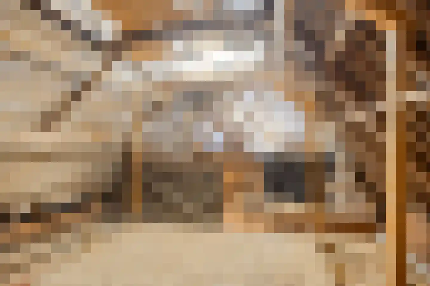 Dorpsstraat 46 Abbekerk thumbnail 39