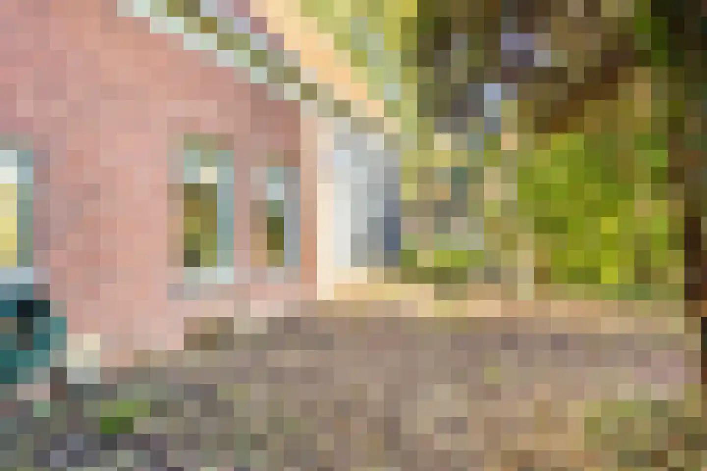 Dorpsstraat 46 Abbekerk thumbnail 40
