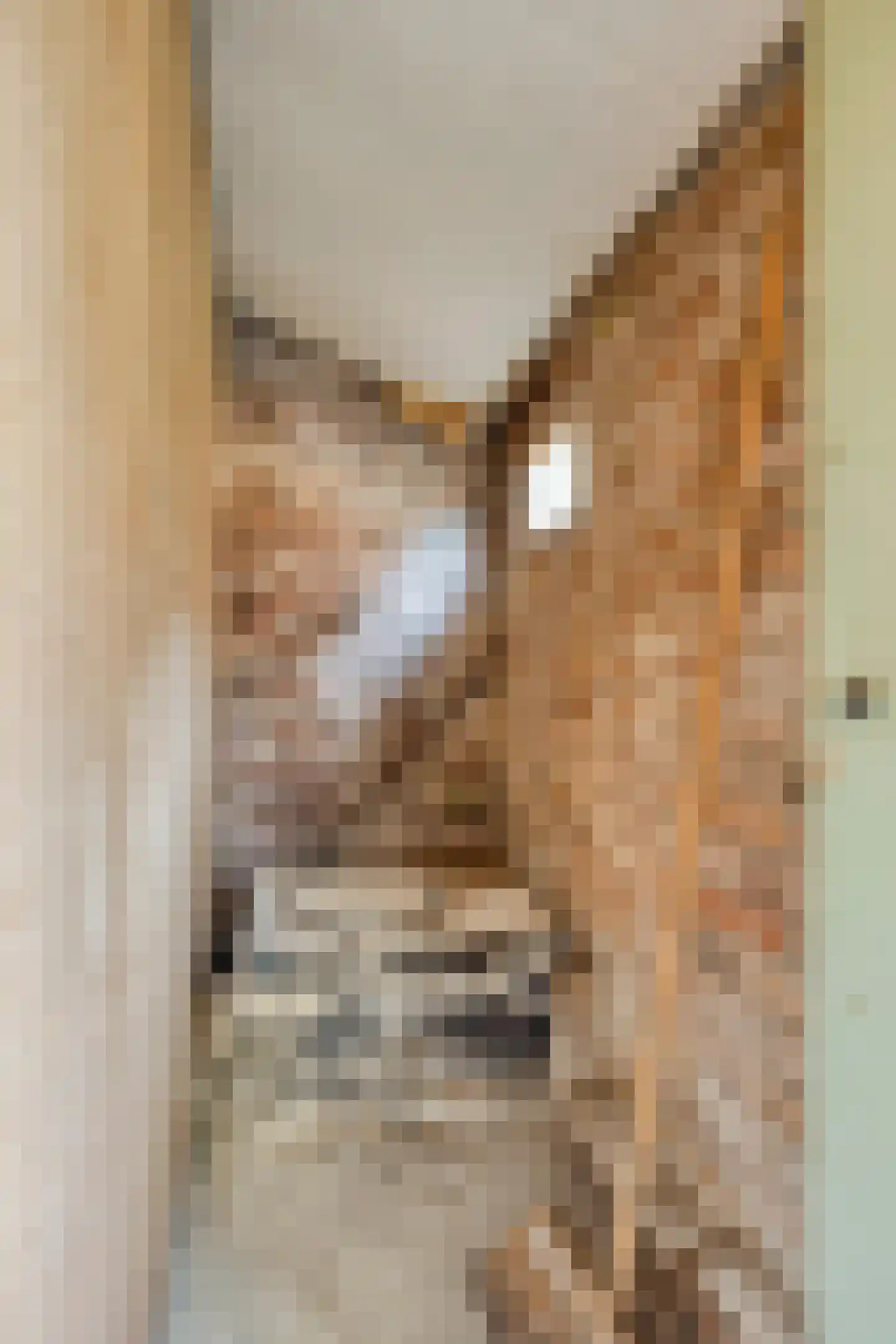 Dorpsstraat 46 Abbekerk thumbnail 9