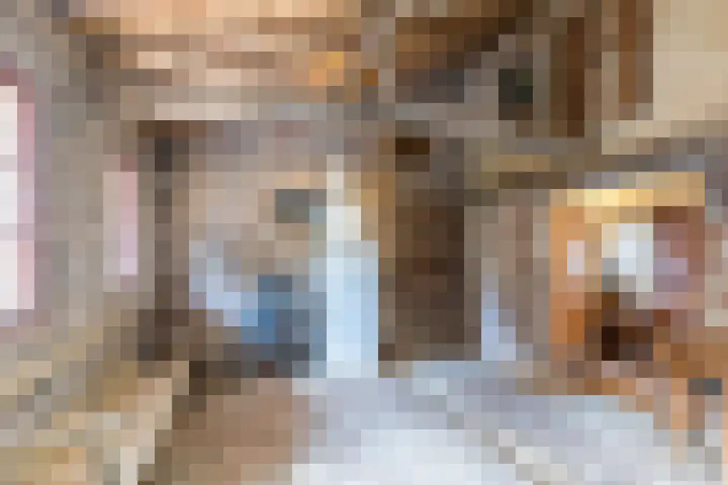 Dorpsstraat 46 Eckelrade thumbnail 14