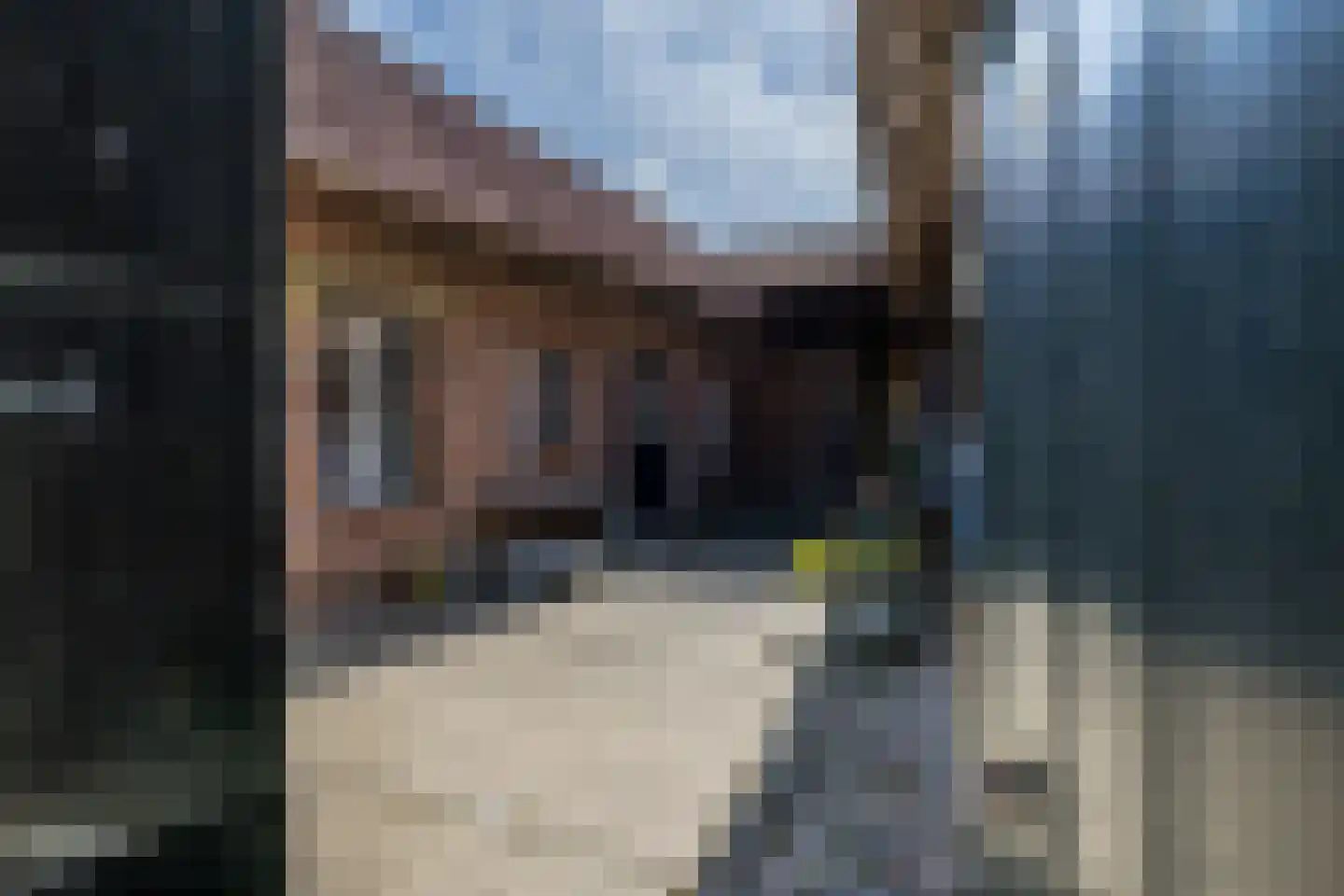 Dorpsstraat 46 Eckelrade thumbnail 20