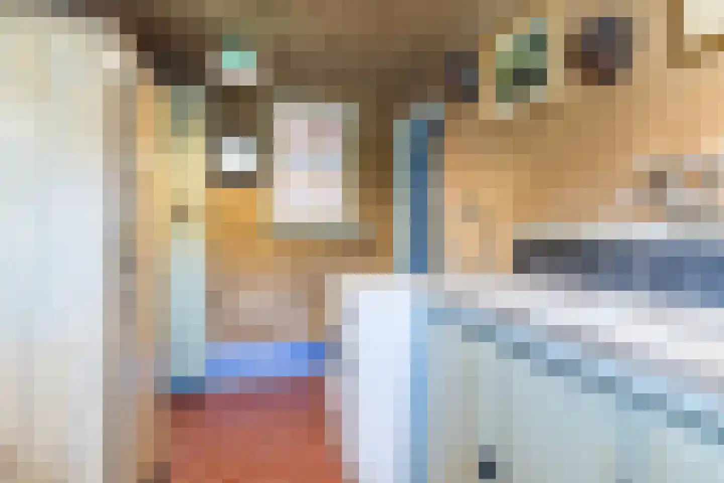 Dorpsstraat 46 Eckelrade thumbnail 31