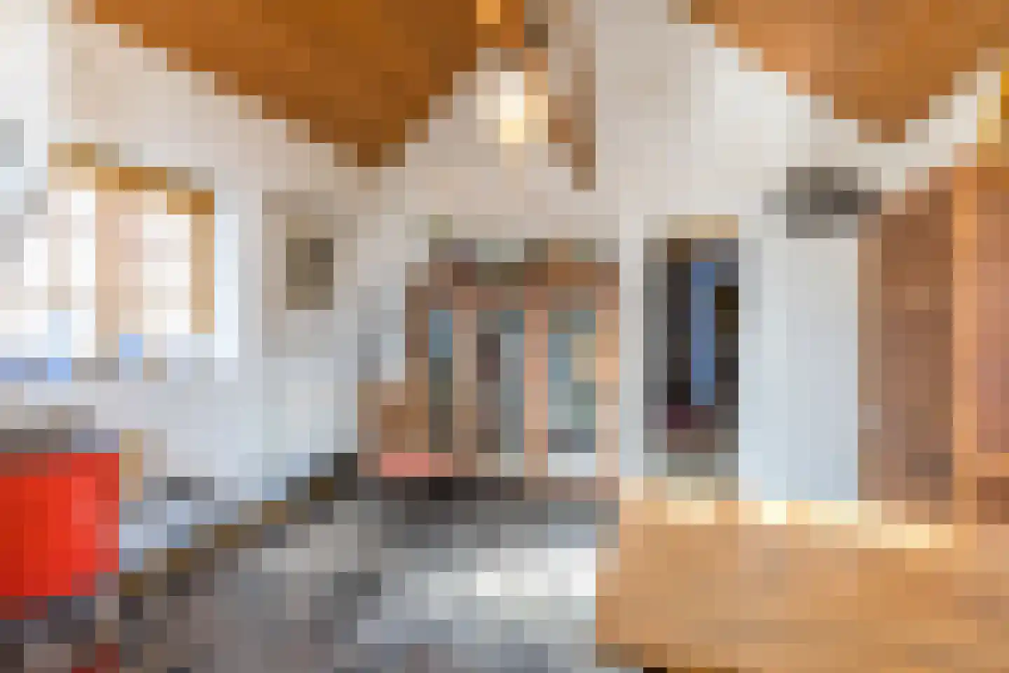 Dorpsstraat 46 Eckelrade thumbnail 33