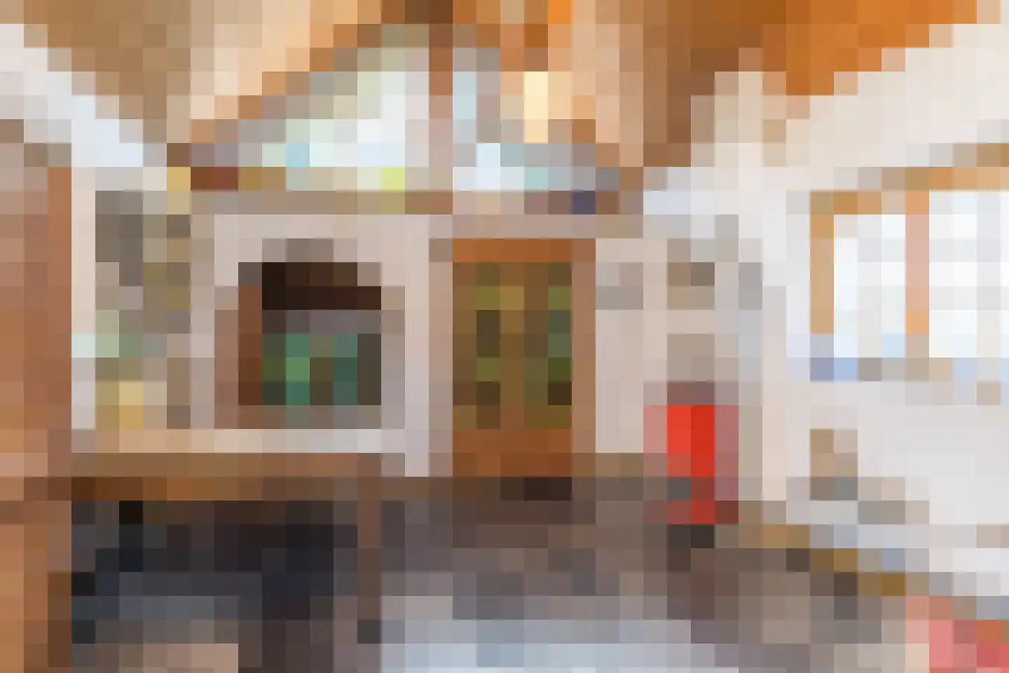 Dorpsstraat 46 Eckelrade thumbnail 34