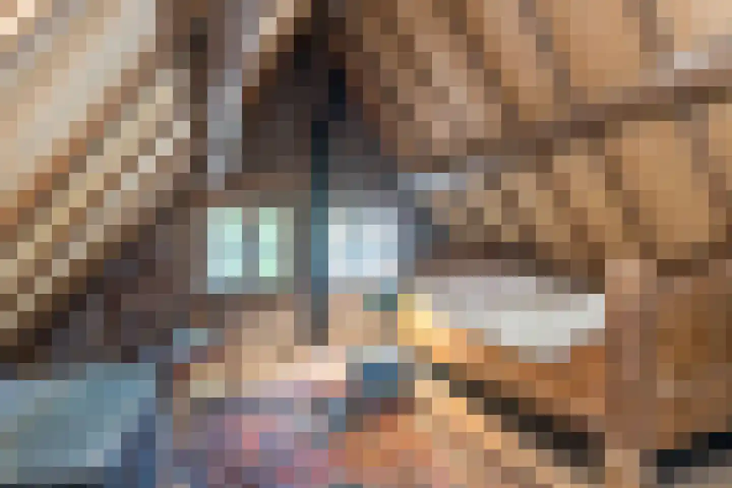Dorpsstraat 46 Eckelrade thumbnail 37