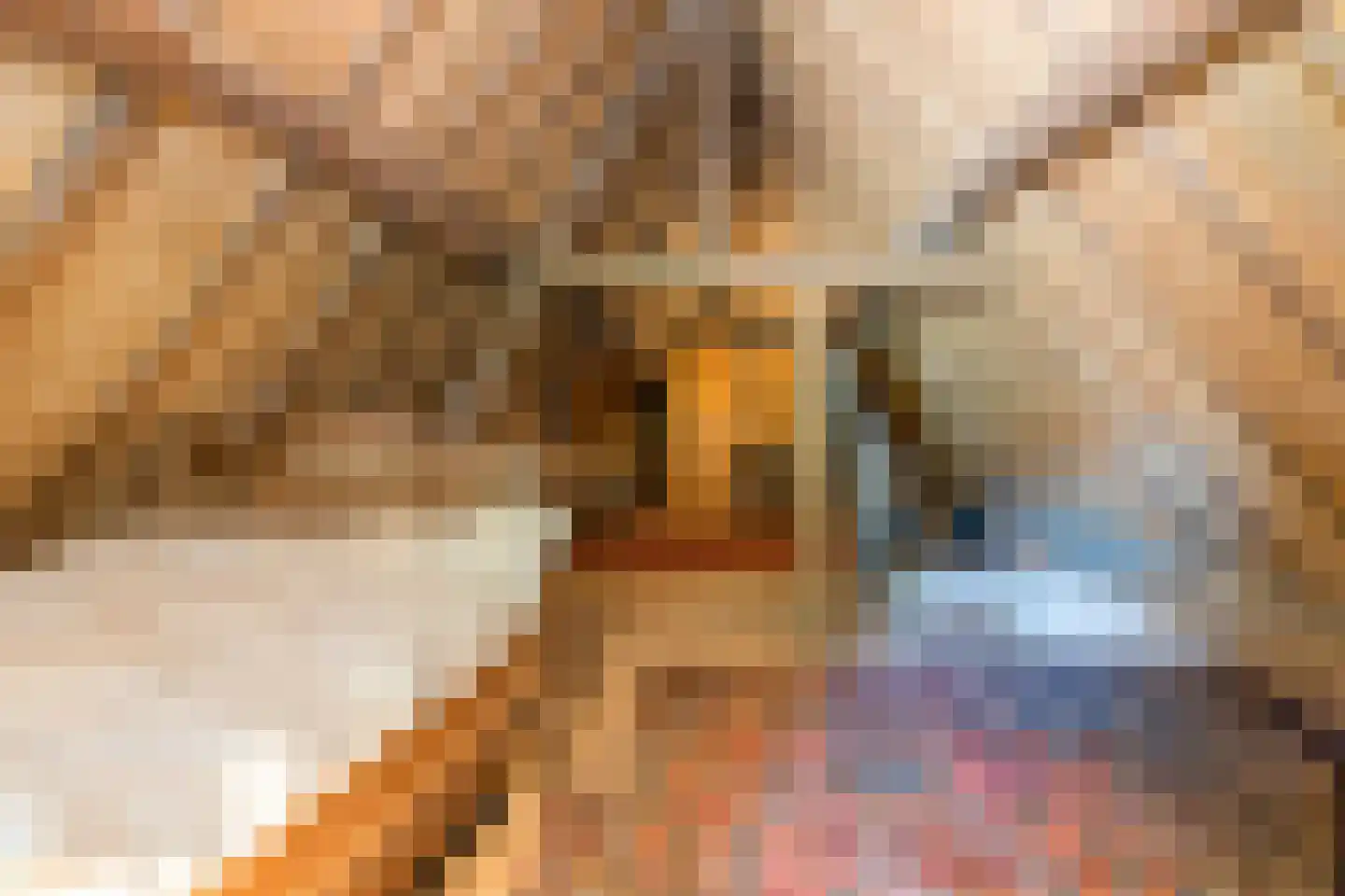 Dorpsstraat 46 Eckelrade thumbnail 38