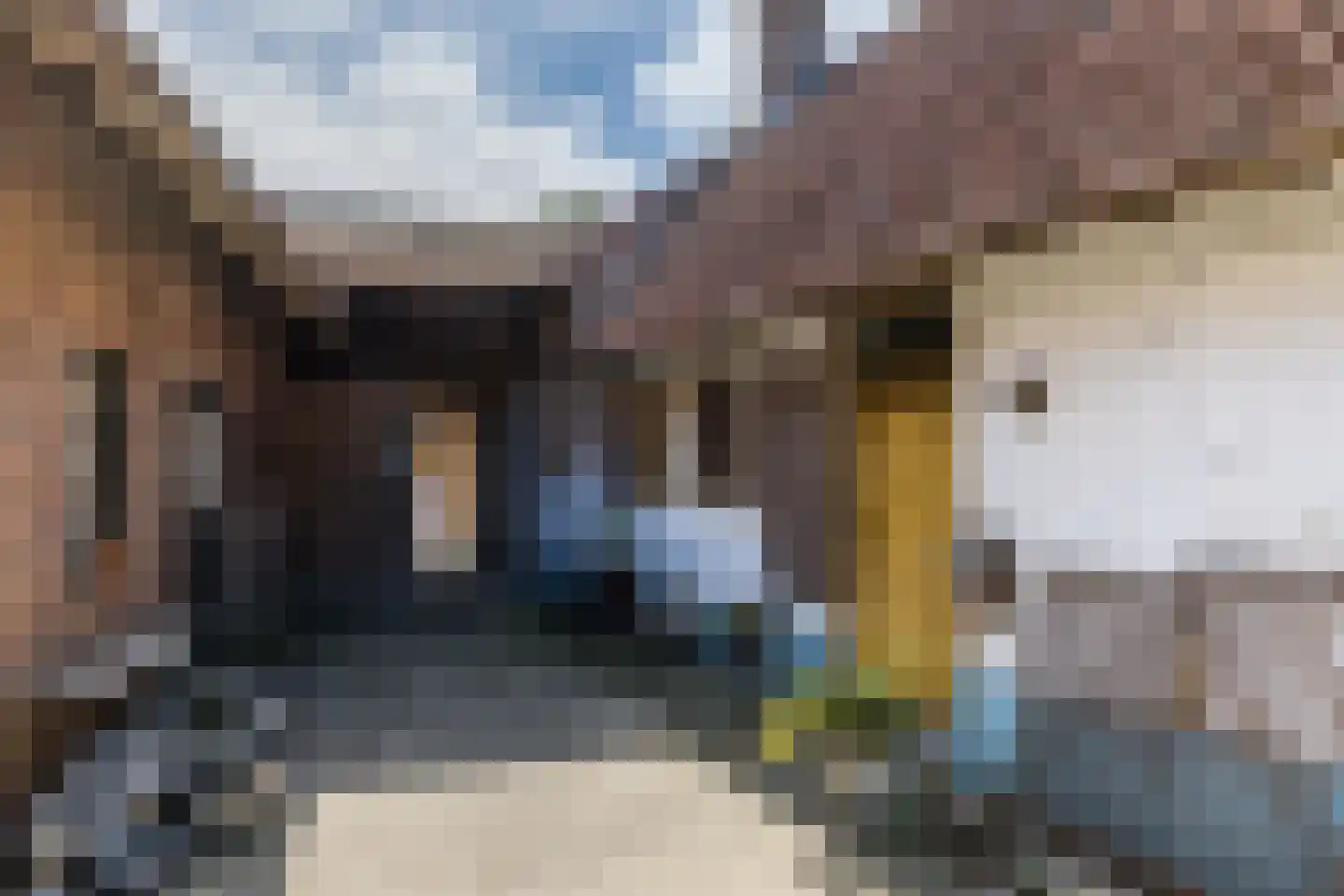 Dorpsstraat 46 Eckelrade thumbnail 40
