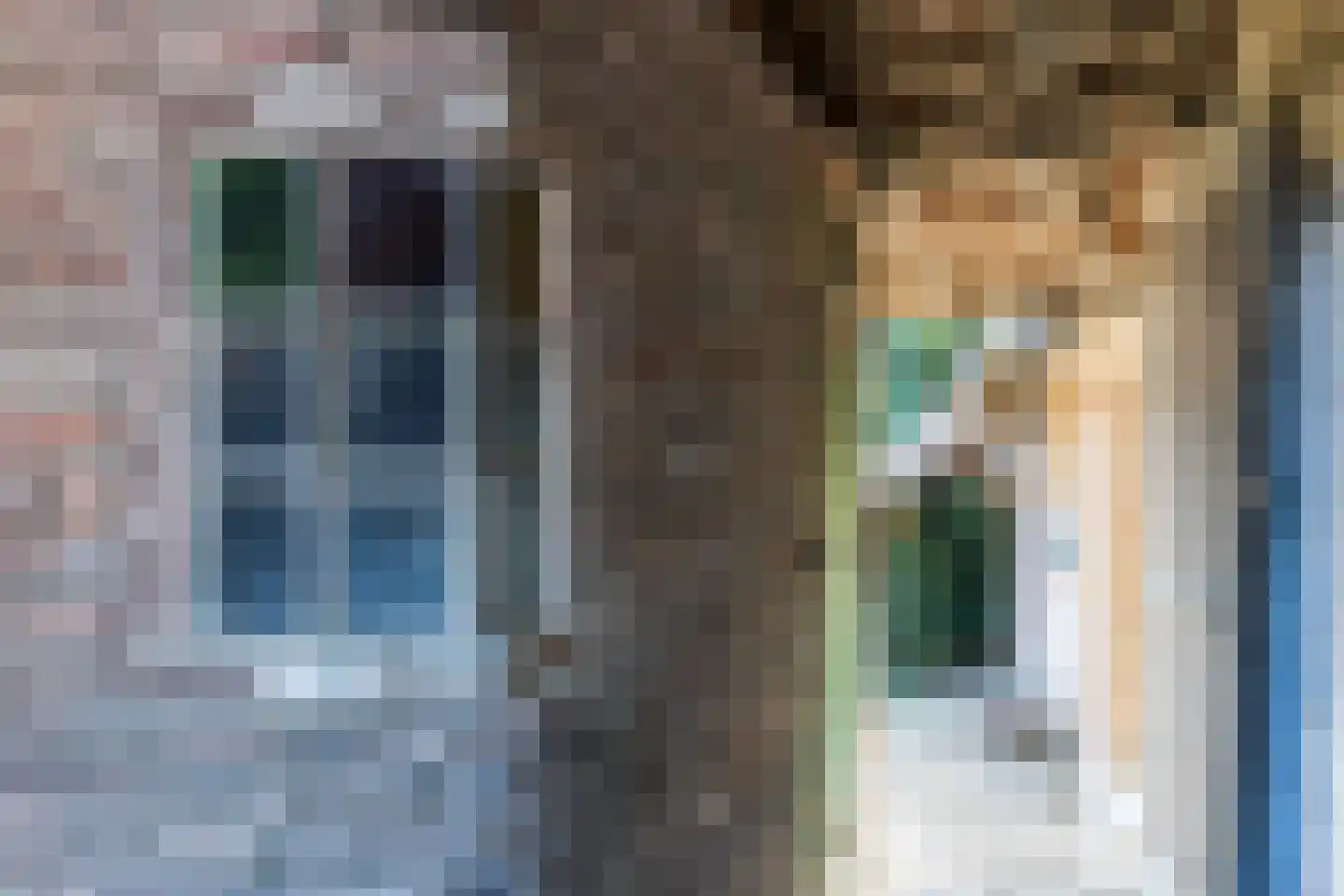 Dorpsstraat 46 Eckelrade thumbnail 41
