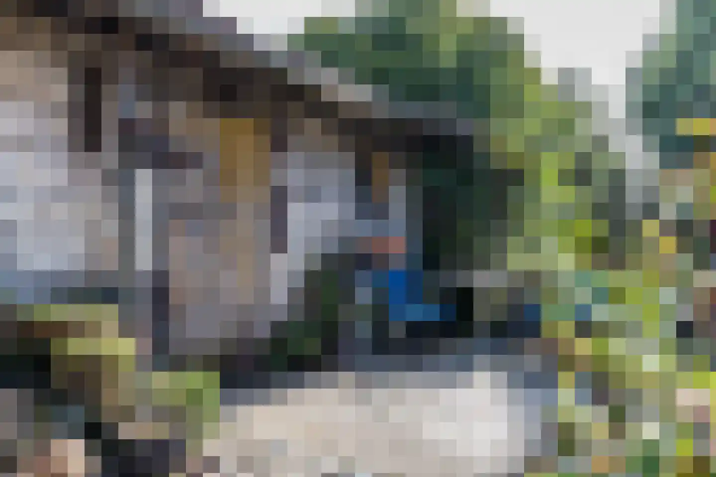 Dorpsstraat 46 Eckelrade thumbnail 45