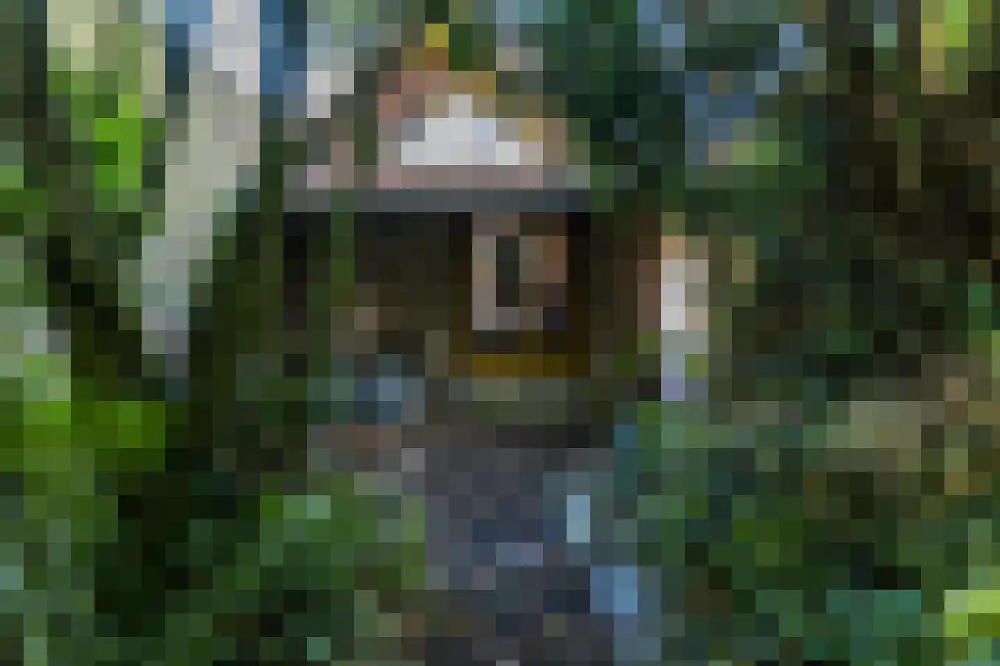 Dorpsstraat 46 Eckelrade thumbnail 46