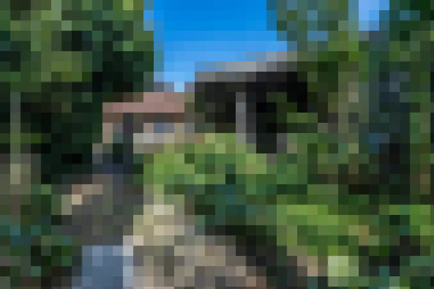 Dorpsstraat 46 Eckelrade thumbnail 52