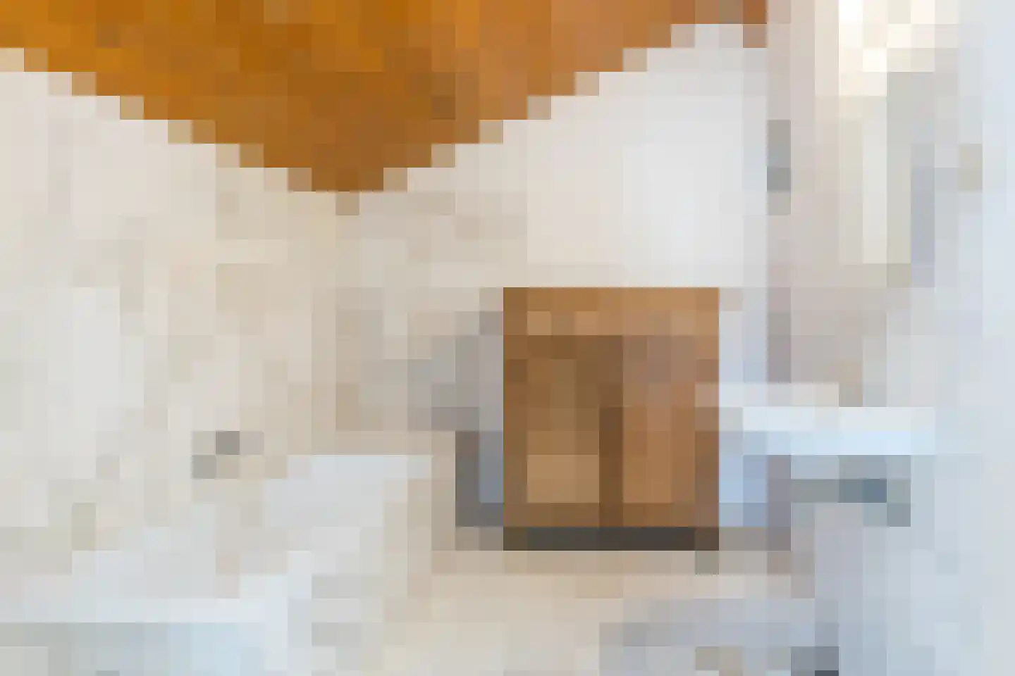 Dorpsstraat 46 Eckelrade thumbnail 7