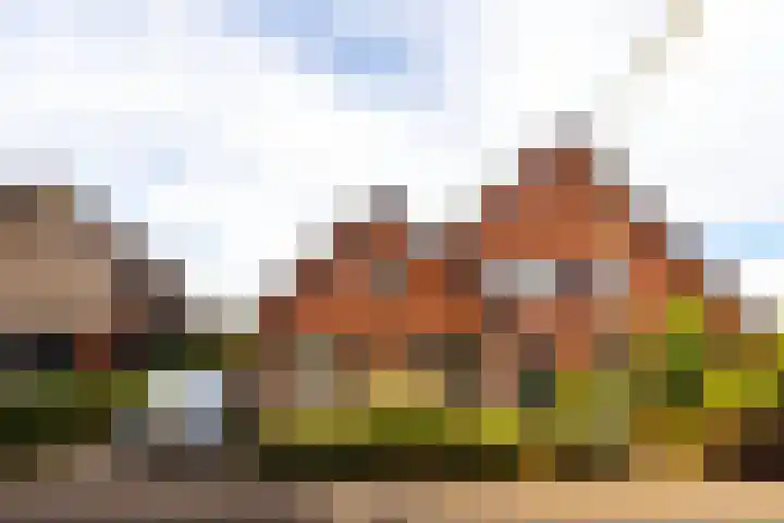 Dorpsstraat 46 Hall thumbnail 11