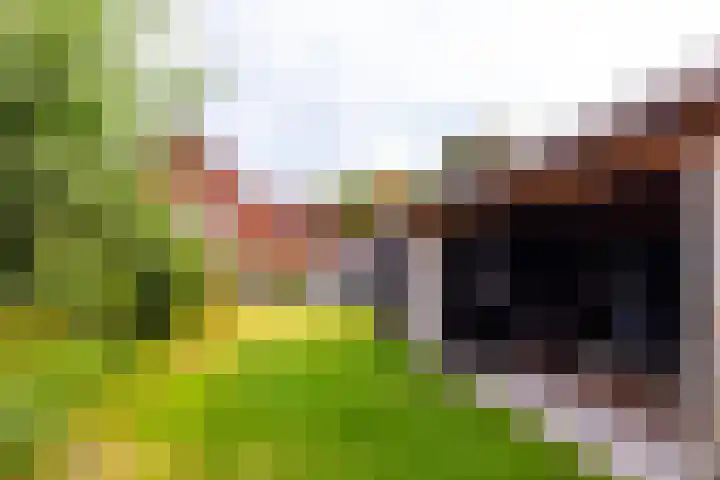 Dorpsstraat 46 Hall thumbnail 7