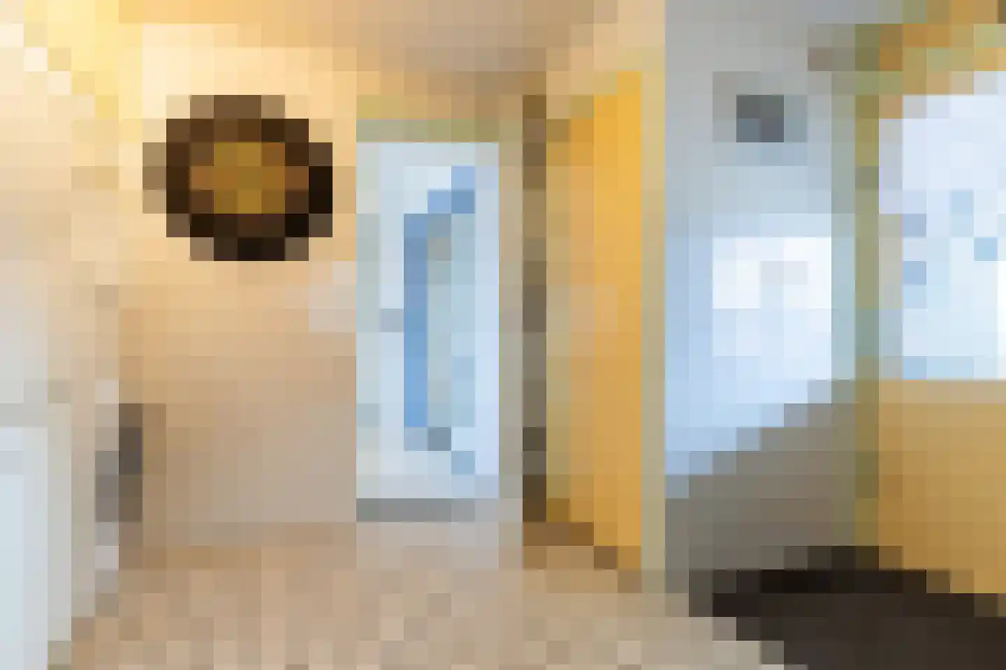 Dorpsstraat 46 Leimuiden thumbnail 17