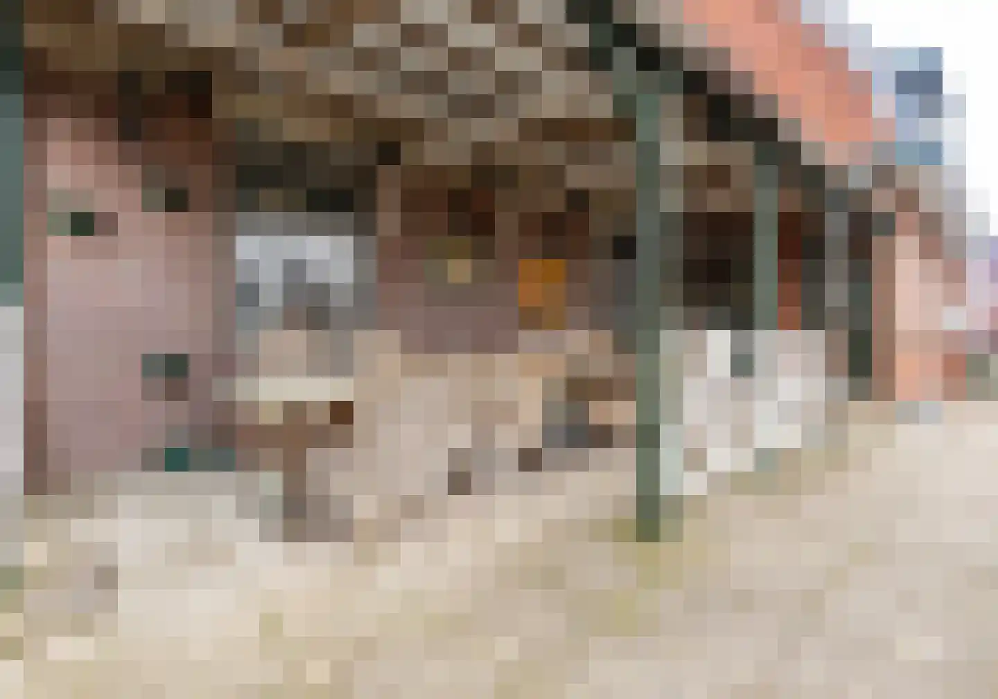 Dorpsstraat 46 Leimuiden thumbnail 22