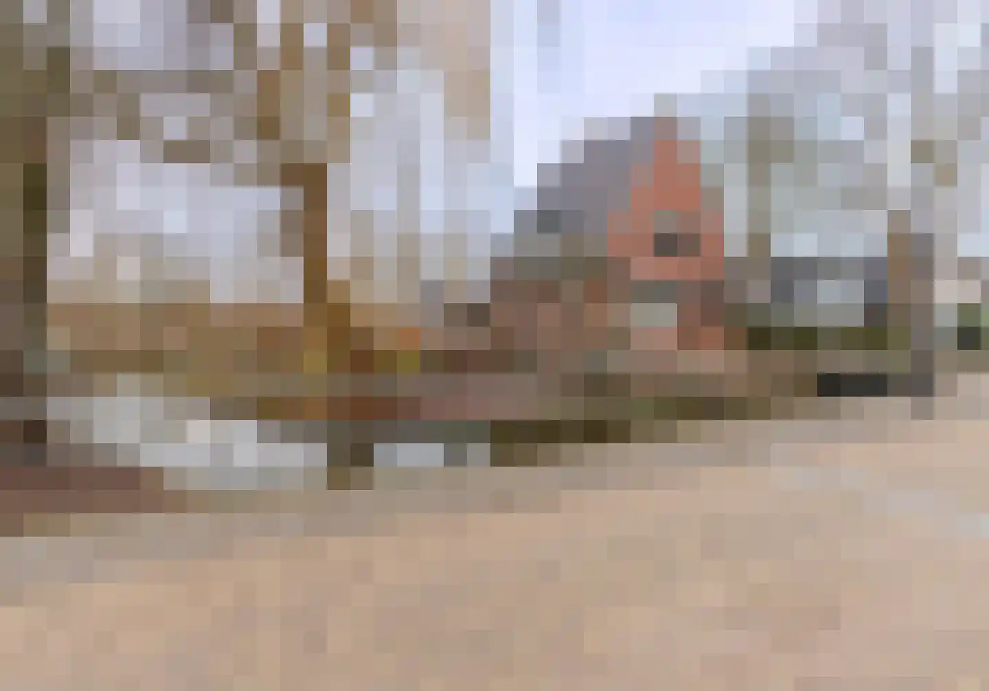 Dorpsstraat 46 Leimuiden thumbnail 40