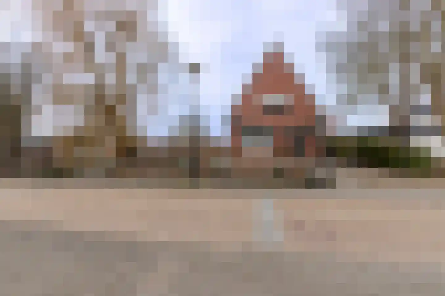 Dorpsstraat 46 Leimuiden thumbnail 41