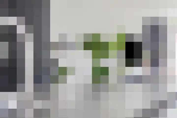 Dorpsstraat 46 Schinnen thumbnail 10