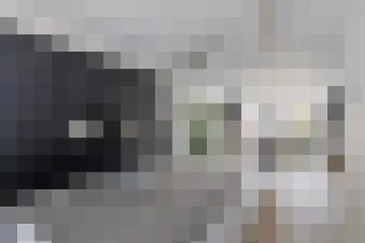 Dorpsstraat 46 Schinnen thumbnail 12