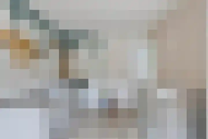 Dorpsstraat 46 Schinnen thumbnail 20