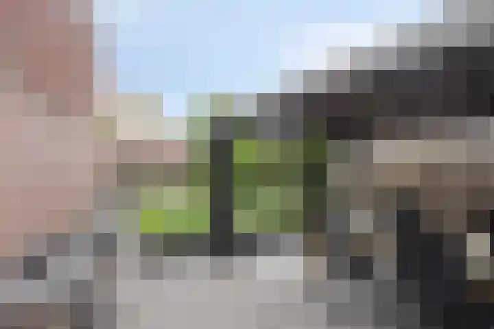 Dorpsstraat 46 Schinnen thumbnail 23