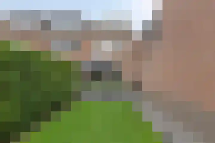 Dorpsstraat 46 Schinnen thumbnail 24