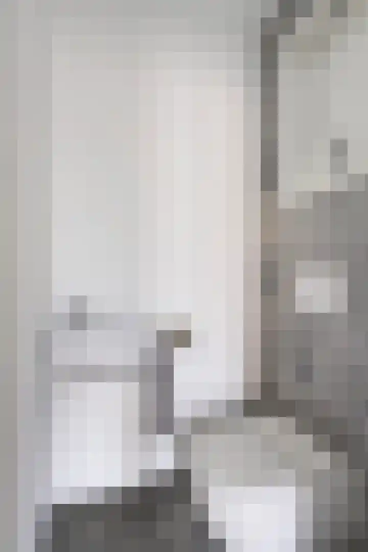 Dorpsstraat 46 Schinnen thumbnail 4