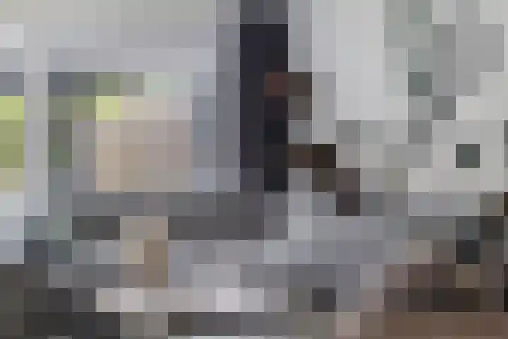Dorpsstraat 46 Schinnen thumbnail 6