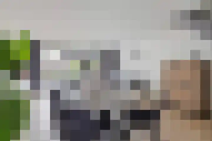 Dorpsstraat 46 Schinnen thumbnail 9