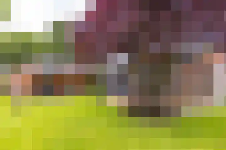 Dorpsstraat 46 Sellingen thumbnail 40