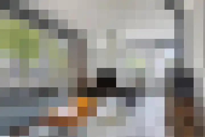 Dorpsstraat 46 Ulicoten thumbnail 11