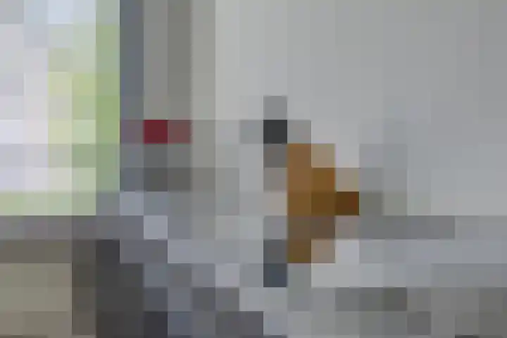 Dorpsstraat 46 Ulicoten thumbnail 16