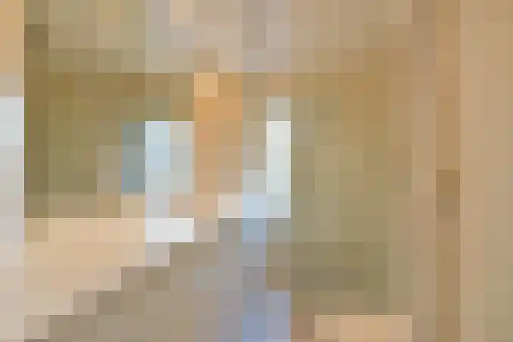 Dorpsstraat 46 Wilnis thumbnail 9