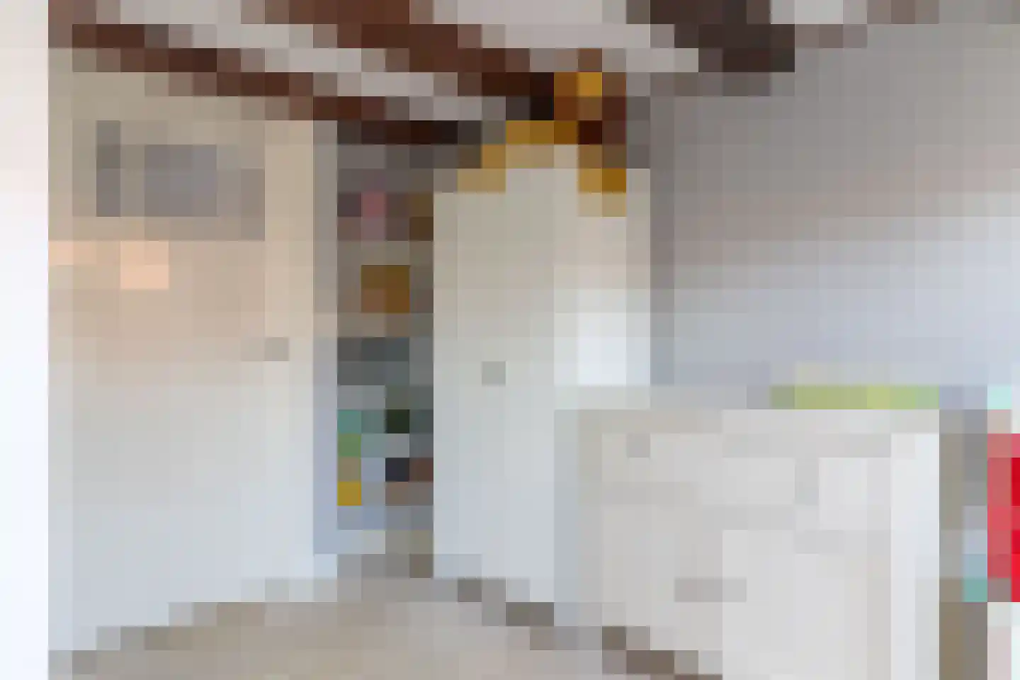 Dorpsstraat 47 Bunschoten-Spakenburg thumbnail 21