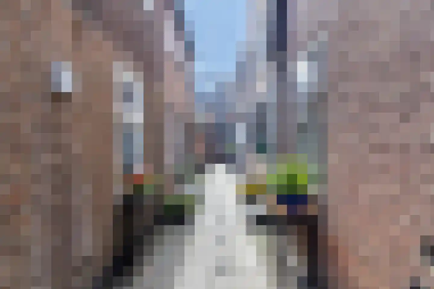 Dorpsstraat 47 Bunschoten-Spakenburg thumbnail 45