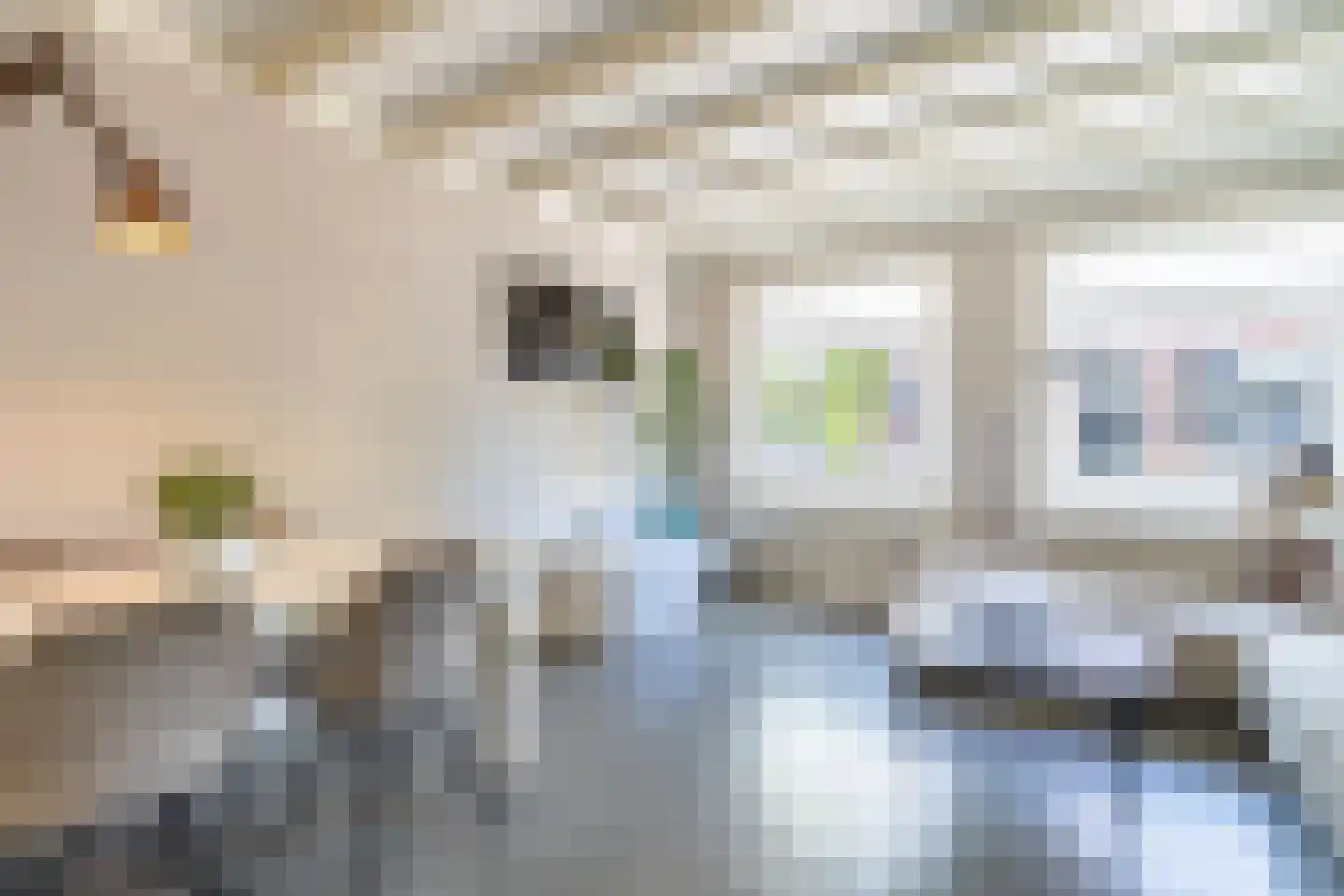 Dorpsstraat 47 Bunschoten-Spakenburg thumbnail 6