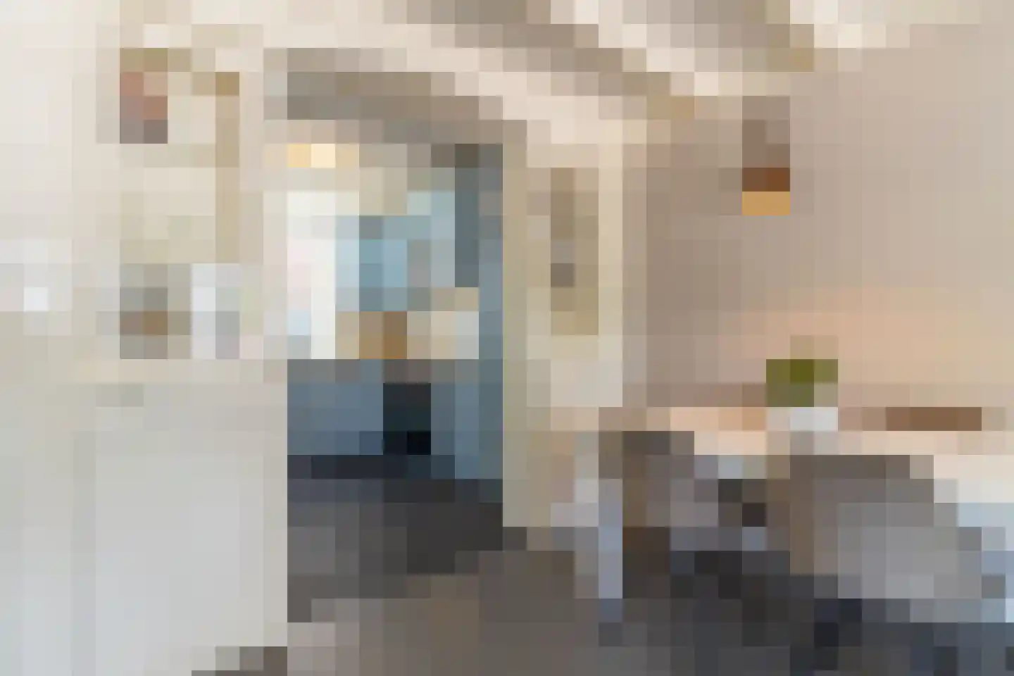 Dorpsstraat 47 Bunschoten-Spakenburg thumbnail 8