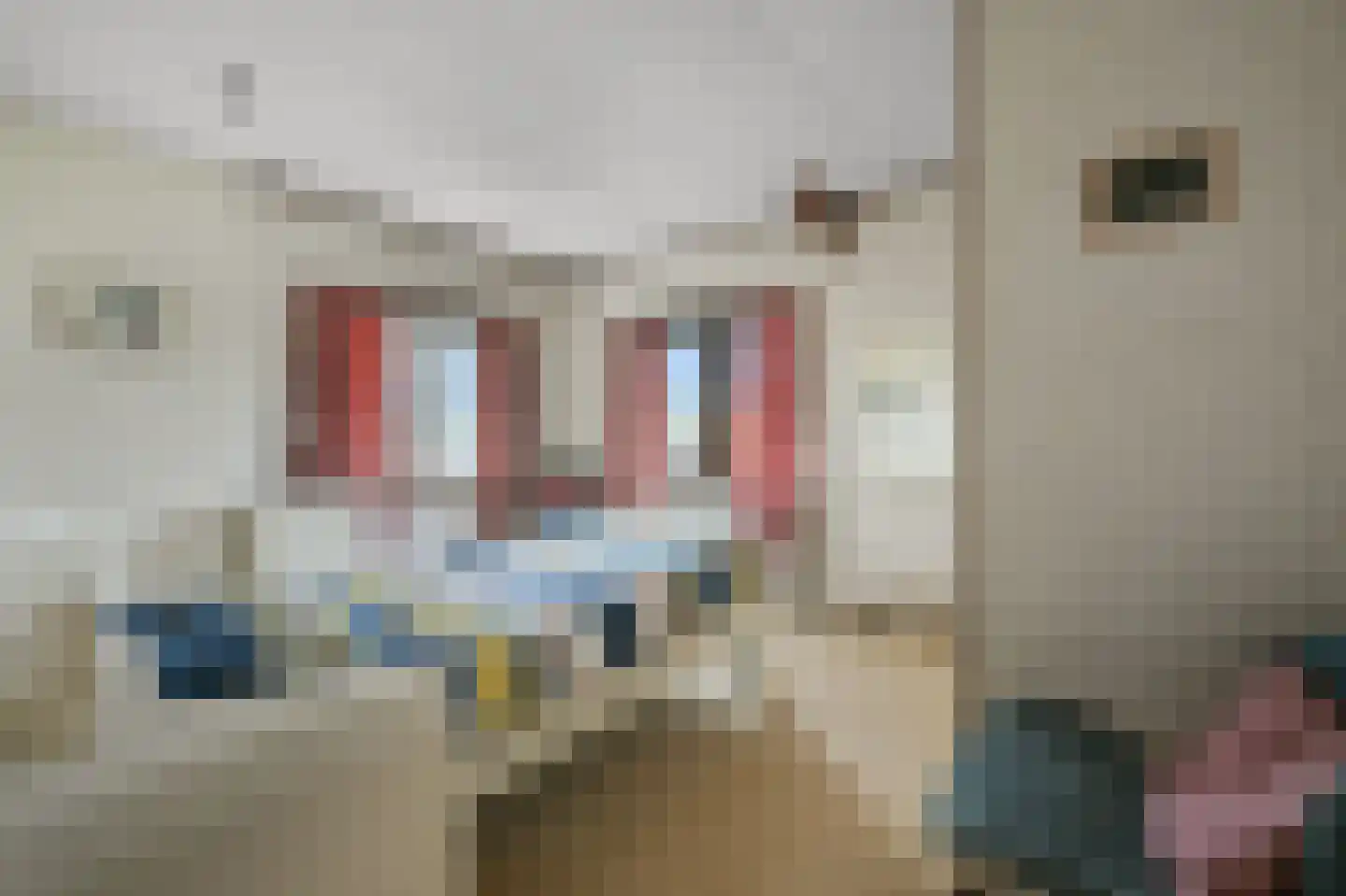 Dorpsstraat 47 Oostknollendam thumbnail 33