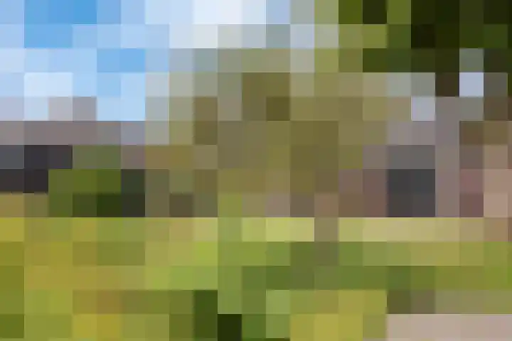 Dorpsstraat 47 Oterleek thumbnail 36