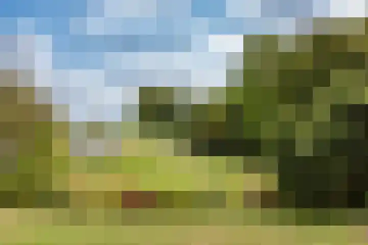 Dorpsstraat 47 Oterleek thumbnail 4