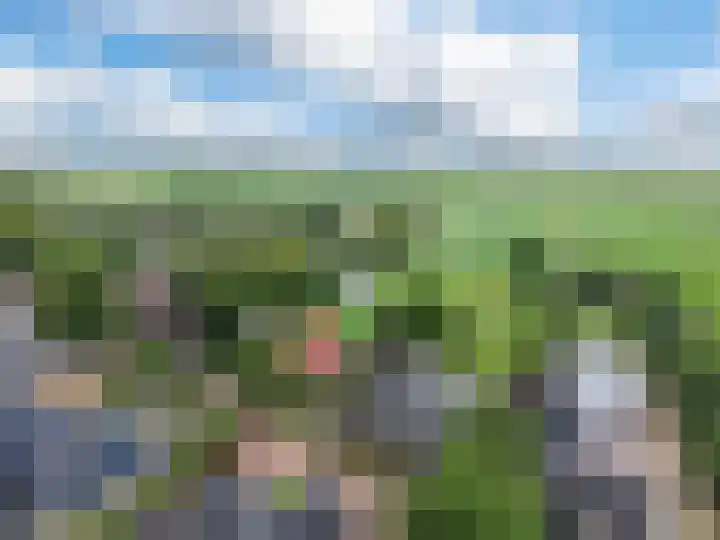 Dorpsstraat 47 Oterleek thumbnail 41