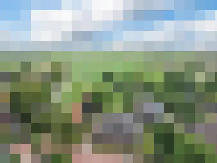 Dorpsstraat 47 Oterleek thumbnail 42