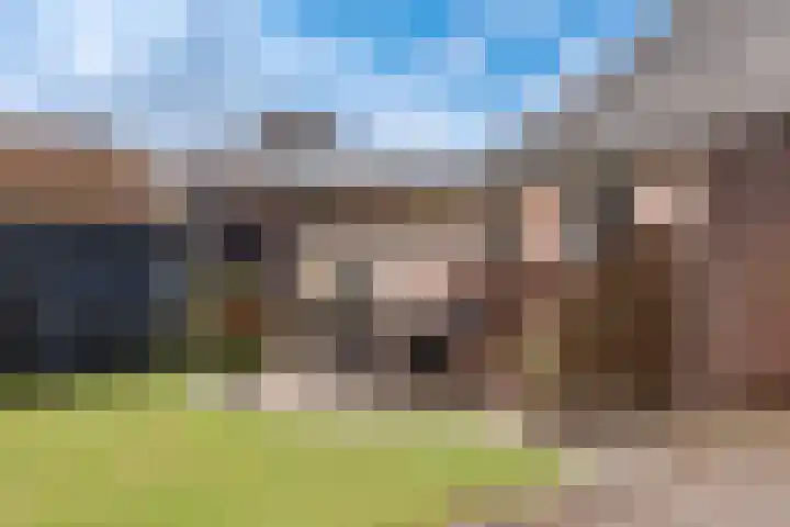 Dorpsstraat 47 Oterleek thumbnail 5